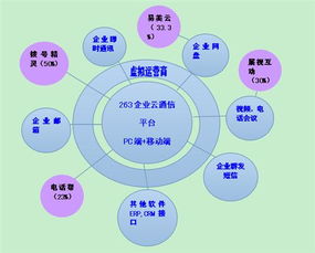 二六三 瞄准未来，铸就企业互联网通信与信息服务王牌